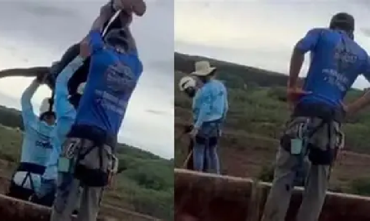 Dolo eventual ou culpa grave? A tipificação do caso Limeira merece revisão