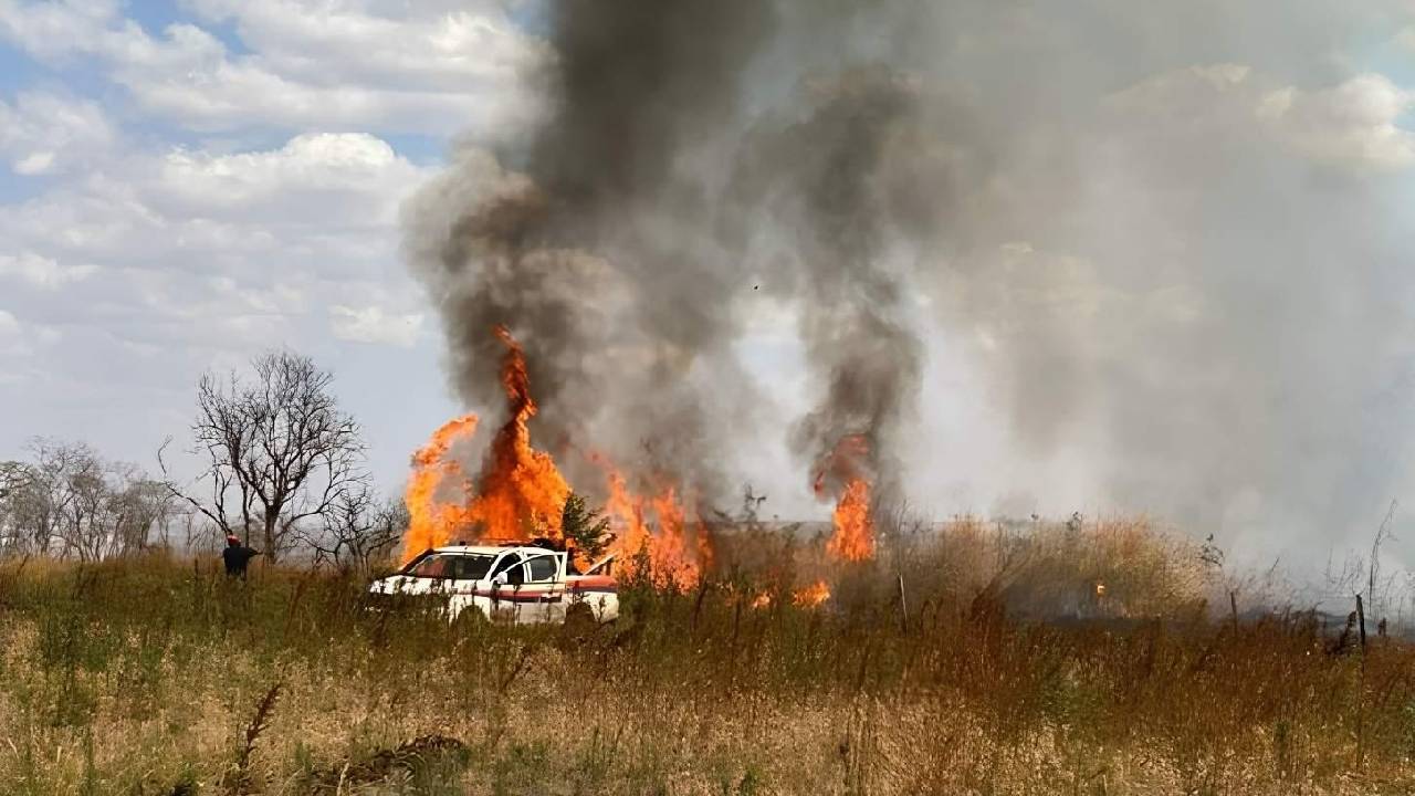 Estado reforça Operação SP Sem Fogo com treinamento no Parque do Juquery