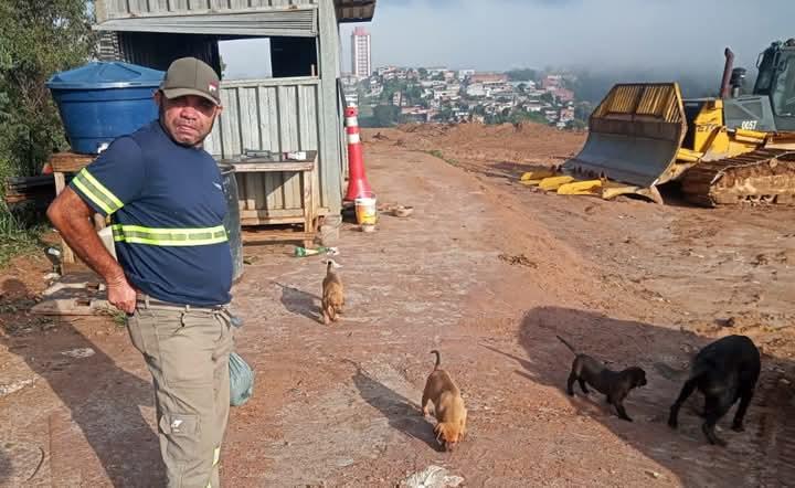 Cães abandonados vivem em canteiro de obras e dependem da solidariedade em Franco da Rocha