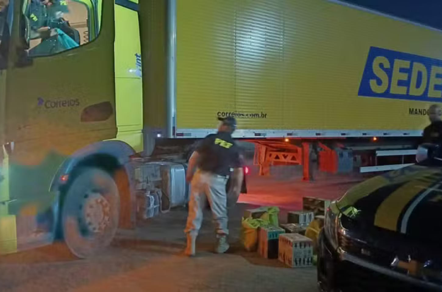 Carreta dos Correios que saiu de Cajamar é apreendida com pássaros silvestres e rebites em Minas Gerais