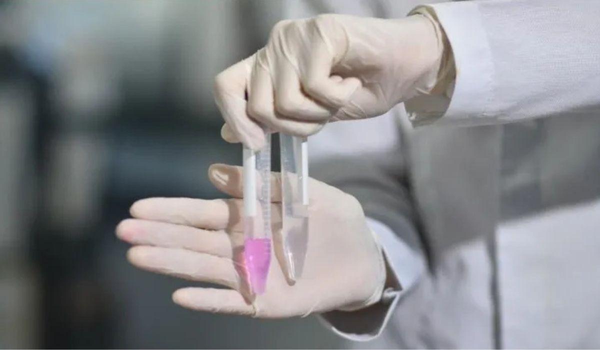 Canudo identificador de metanol desenvolvido na UEPB tem preço estimado em R$ 2