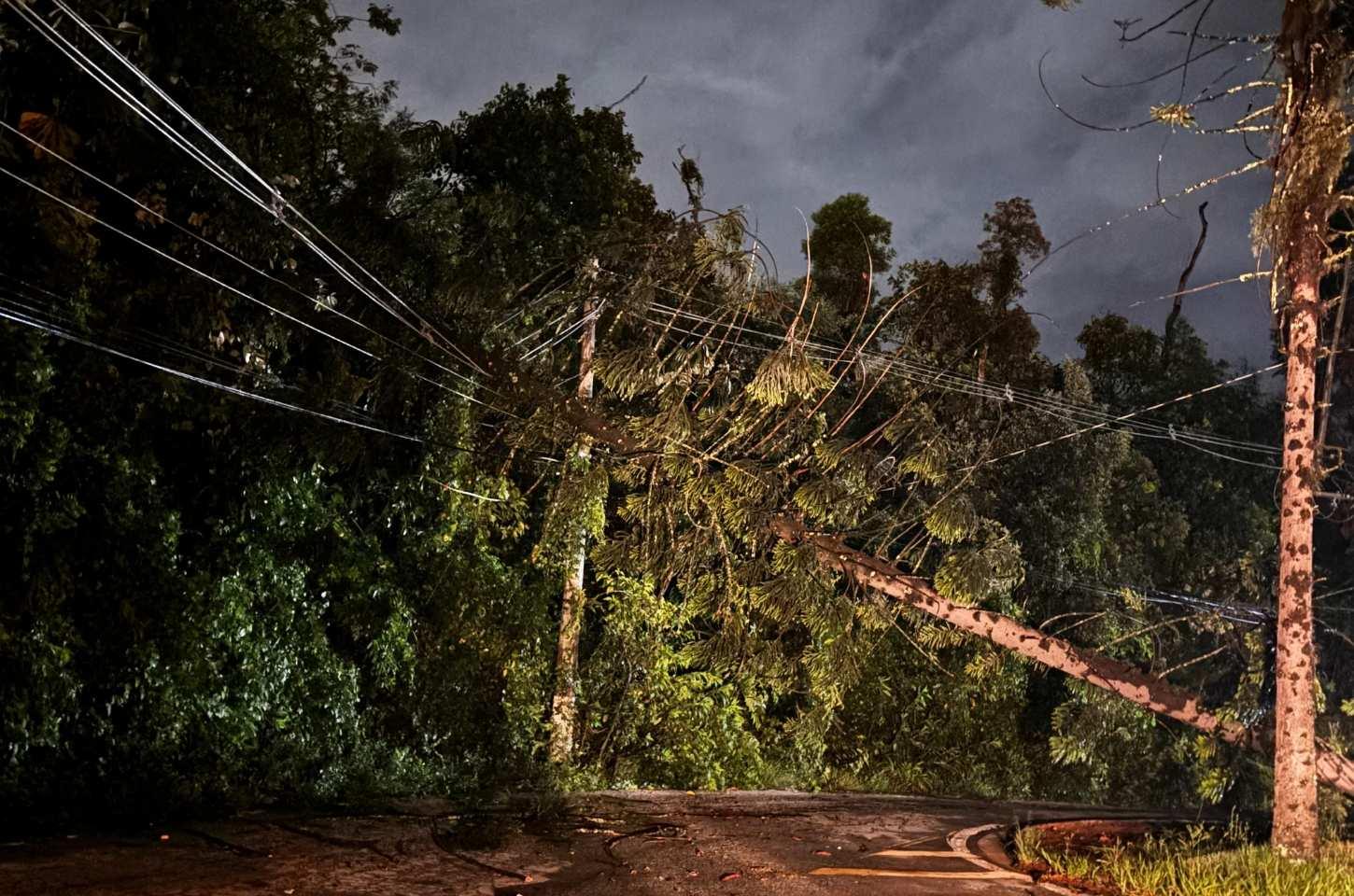 Após forte temporal e apagão geral, energia elétrica vai se reestabelecendo desde a madrugada de sábado (14)