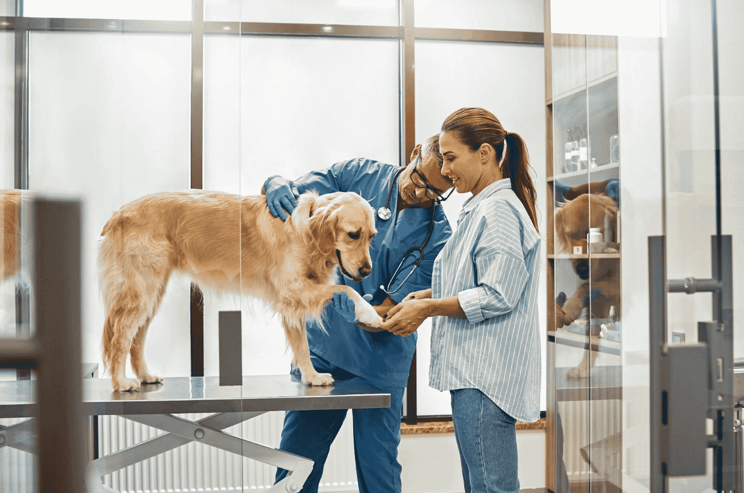Hospital veterinário público é anunciado pela prefeitura de Francisco Morato